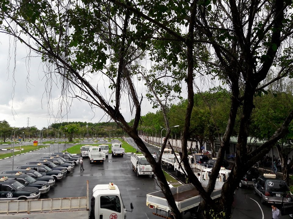 Hướng dẫn đổi giấy phép lái xe cấp trước 1/1/2025: Thủ tục và quy định mới từ 1/1/2025